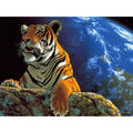 diy The Tiger paintings by numbers with acrylic paints