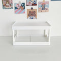 Simple Double-layer Desktop Stationery Storage Organizer